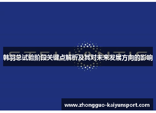 韩羽总试验阶段关键点解析及其对未来发展方向的影响