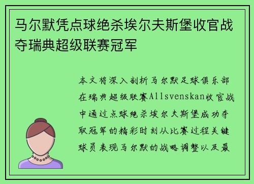 马尔默凭点球绝杀埃尔夫斯堡收官战夺瑞典超级联赛冠军